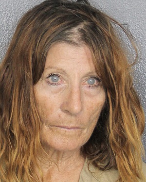 DOLORES CECELIA BORRELLI  Info, Photos, Data, and More / DOLORES CECELIA BORRELLI  TriCountyBusts / Is DOLORES CECELIA BORRELLI  on Social Media Like Facebook, Instagram abd Twitter?