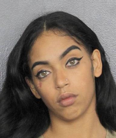 ERIKA ALIZE SANTANA  Info, Photos, Data, and More / ERIKA ALIZE SANTANA  TriCountyBusts / Is ERIKA ALIZE SANTANA  on Social Media Like Facebook, Instagram abd Twitter?