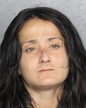 GIANNA CASTIGLIA  Info, Photos, Data, and More / GIANNA CASTIGLIA  TriCountyBusts / Is GIANNA CASTIGLIA  on Social Media Like Facebook, Instagram abd Twitter?