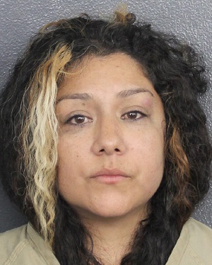 LISSETTE REYES  Info, Photos, Data, and More / LISSETTE REYES  TriCountyBusts / Is LISSETTE REYES  on Social Media Like Facebook, Instagram abd Twitter?