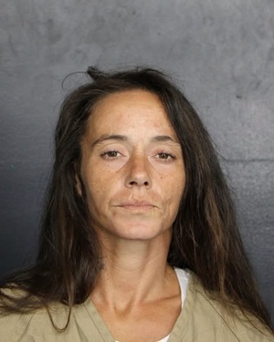 CRYSTAL NICOLE ADAMS  Info, Photos, Data, and More / CRYSTAL NICOLE ADAMS  TriCountyBusts / Is CRYSTAL NICOLE ADAMS  on Social Media Like Facebook, Instagram abd Twitter?