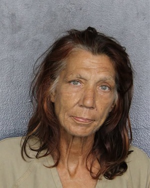 DENISE ANN WEBB  Info, Photos, Data, and More / DENISE ANN WEBB  TriCountyBusts / Is DENISE ANN WEBB  on Social Media Like Facebook, Instagram abd Twitter?