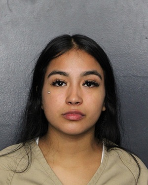 LILLIAN TORRES  Info, Photos, Data, and More / LILLIAN TORRES  TriCountyBusts / Is LILLIAN TORRES  on Social Media Like Facebook, Instagram abd Twitter?