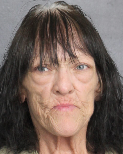 Theresa Perrone Info, Photos, Data, and More / Theresa Perrone TriCountyBusts / Is Theresa Perrone on Social Media Like Facebook, Instagram abd Twitter?