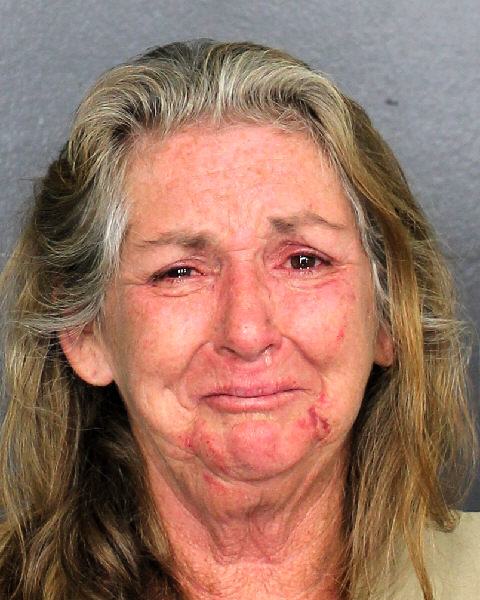 Susan Orr Info, Photos, Data, and More / Susan Orr TriCountyBusts / Is Susan Orr on Social Media Like Facebook, Instagram abd Twitter?