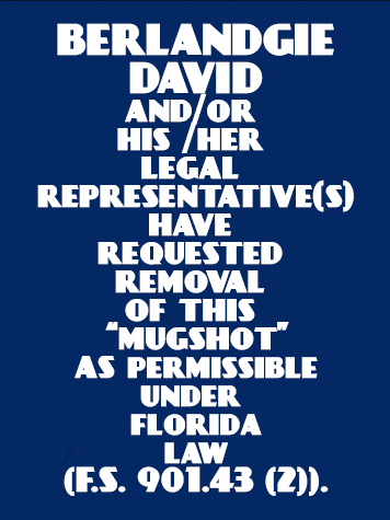 Berlandgie David Info, Photos, Data, and More / Berlandgie David TriCountyBusts / Is Berlandgie David on Social Media Like Facebook, Instagram abd Twitter?