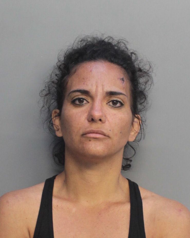 Miladys Guerrero Info, Photos, Data, and More / Miladys Guerrero TriCountyBusts / Is Miladys Guerrero on Social Media Like Facebook, Instagram abd Twitter?
