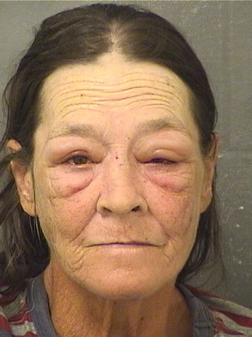 Lara D Faltesek Info, Photos, Data, and More / Lara D Faltesek TriCountyBusts / Is Lara D Faltesek on Social Media Like Facebook, Instagram abd Twitter?