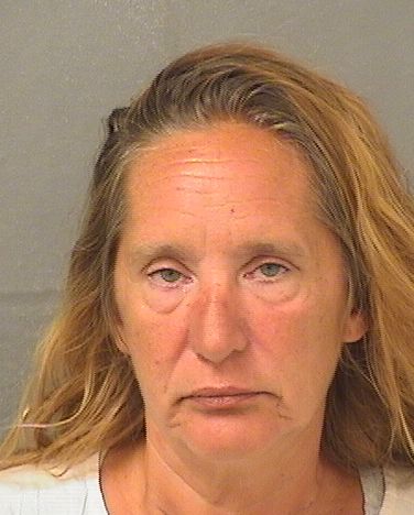 Denise Diane Smeriglio Info, Photos, Data, and More / Denise Diane Smeriglio TriCountyBusts / Is Denise Diane Smeriglio on Social Media Like Facebook, Instagram abd Twitter?