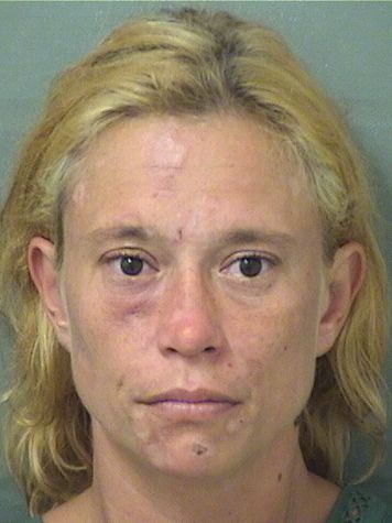 Noelle Bridget Davis Info, Photos, Data, and More / Noelle Bridget Davis TriCountyBusts / Is Noelle Bridget Davis on Social Media Like Facebook, Instagram abd Twitter?