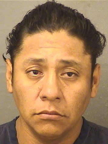 Marin R Lopezalfardo Info, Photos, Data, and More / Marin R Lopezalfardo TriCountyBusts / Is Marin R Lopezalfardo on Social Media Like Facebook, Instagram abd Twitter?