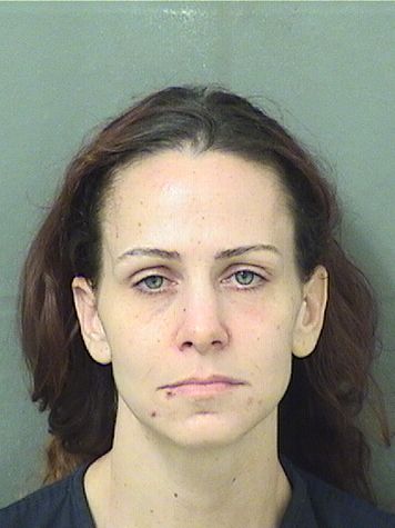 Danielle E Sullivan Info, Photos, Data, and More / Danielle E Sullivan TriCountyBusts / Is Danielle E Sullivan on Social Media Like Facebook, Instagram abd Twitter?