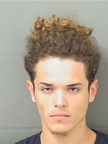 Alvarado Berdecia Angel Info, Photos, Data, and More / Alvarado Berdecia Angel TriCountyBusts / Is Alvarado Berdecia Angel on Social Media Like Facebook, Instagram abd Twitter?