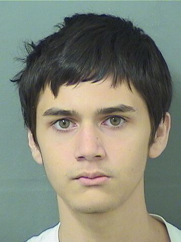 Joshua Gornitzky Info, Photos, Data, and More / Joshua Gornitzky TriCountyBusts / Is Joshua Gornitzky on Social Media Like Facebook, Instagram abd Twitter?