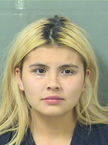 Mackenzie Cheyenne Mathis Info, Photos, Data, and More / Mackenzie Cheyenne Mathis TriCountyBusts / Is Mackenzie Cheyenne Mathis on Social Media Like Facebook, Instagram abd Twitter?