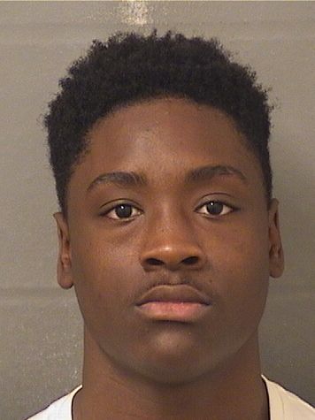 Darnavius L Jr Anderson Info, Photos, Data, and More / Darnavius L Jr Anderson TriCountyBusts / Is Darnavius L Jr Anderson on Social Media Like Facebook, Instagram abd Twitter?